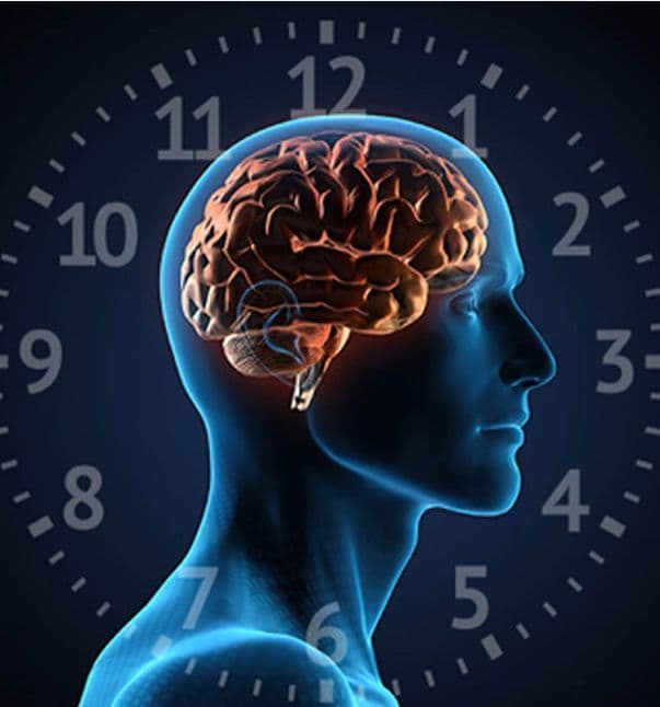 تقویت مغز با استراحت کردن Strengthen your brain by resting it